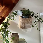 Large With Balcony - Downtown - Nearby Scandic Business Center Bus Stop Homestay szállás *