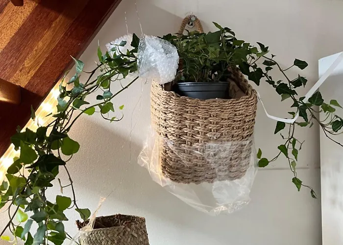 Large With Balcony - Downtown - Nearby Scandic Business Center Bus Stop 民宿 *