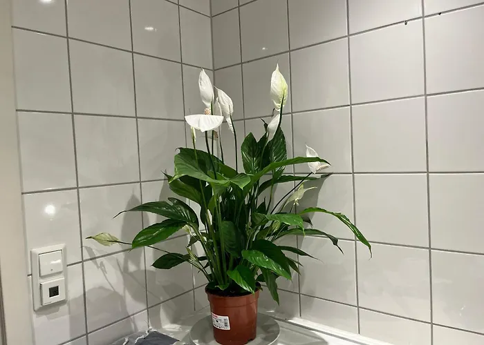 Large With Balcony - Downtown - Nearby Scandic Business Center Bus Stop *