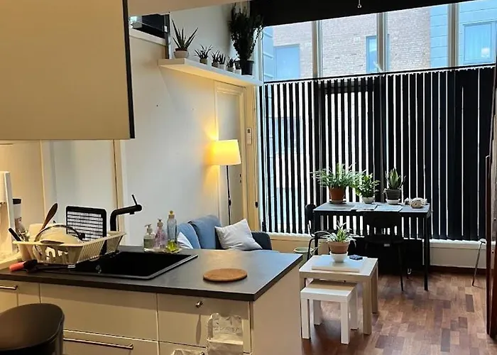 Large With Balcony - Downtown - Nearby Scandic Business Center Bus Stop 斯塔万格