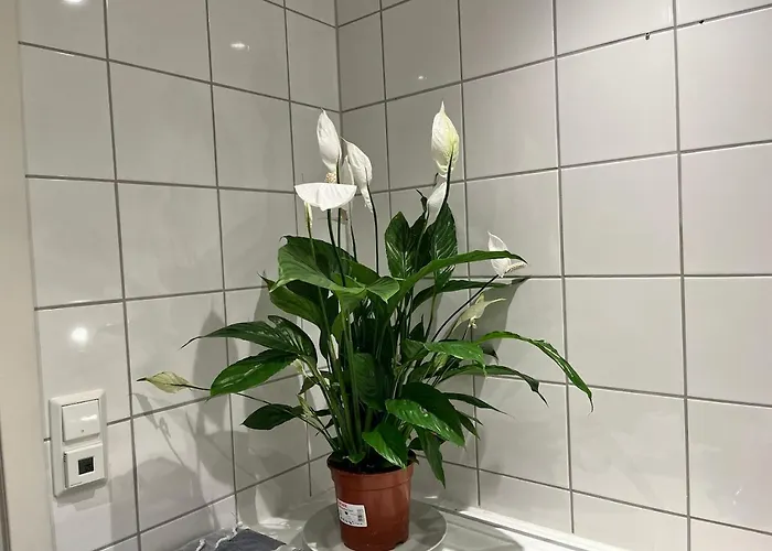 民宿 Large With Balcony - Downtown - Nearby Scandic Business Center Bus Stop *